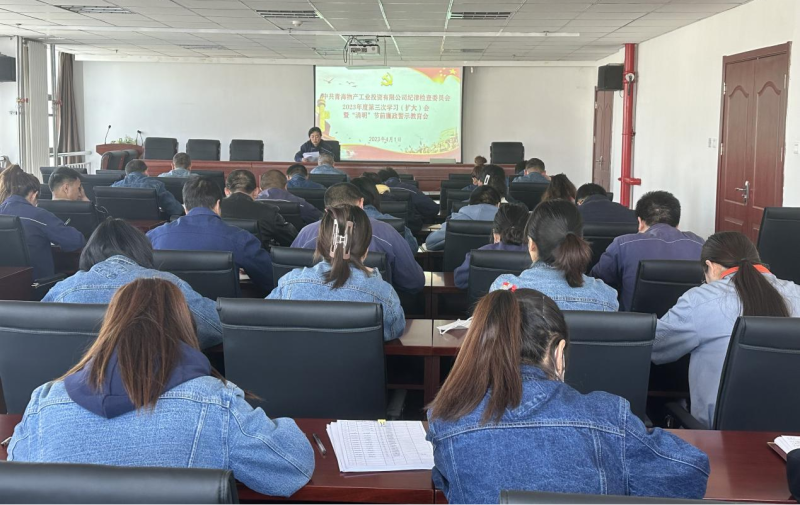 工投公司紀(jì)委召開(kāi)2023年度第三次學(xué)習(xí)（擴(kuò)大）會(huì)暨&ldquo;清明節(jié)&rdquo;前廉政警示教育會(huì)