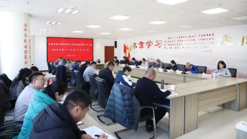 集團黨委理論學(xué)習(xí)中心組召開2025年第十二次學(xué)習(xí)（擴大）會